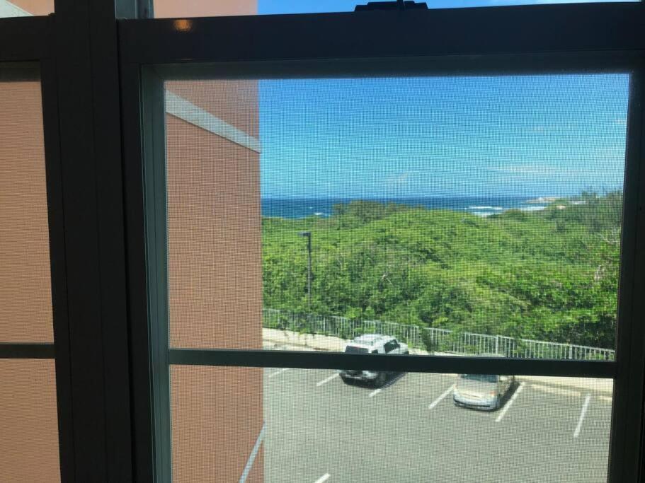 Haudimar Ph Beachfront Apt 4Br/3Bath Isabela Eksteriør billede