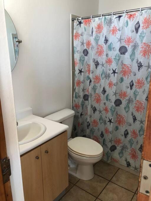 Haudimar Ph Beachfront Apt 4Br/3Bath Isabela Eksteriør billede