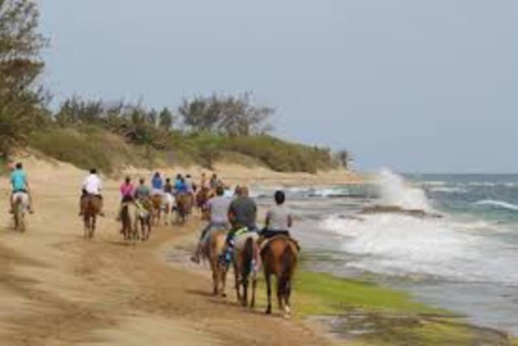 Haudimar Ph Beachfront Apt 4Br/3Bath Isabela Eksteriør billede