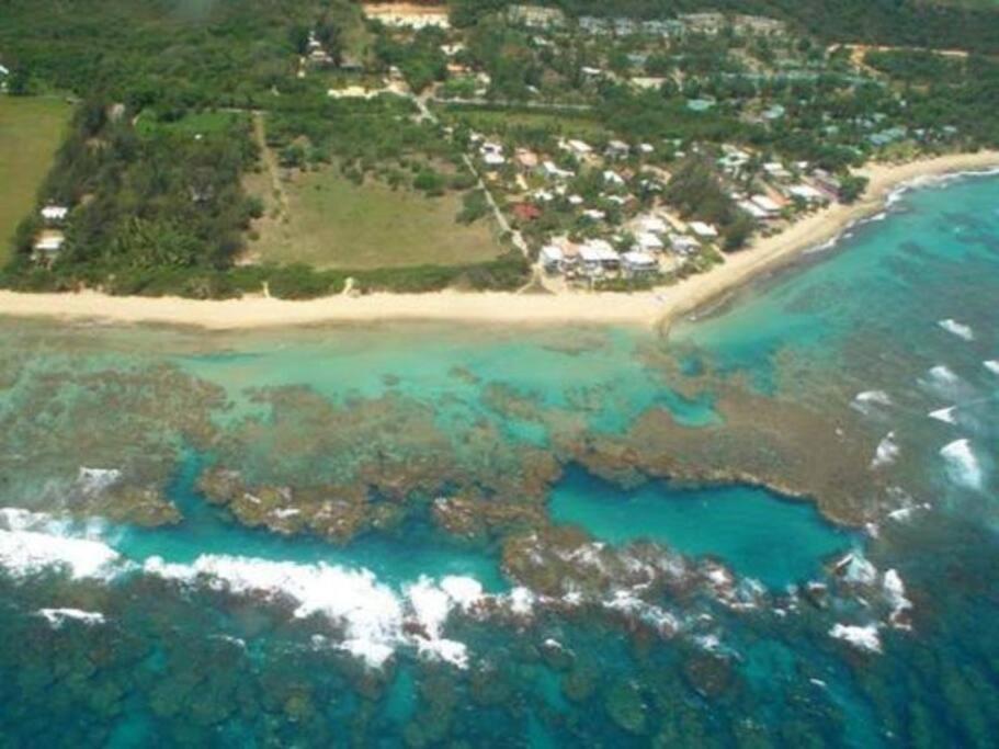 Haudimar Ph Beachfront Apt 4Br/3Bath Isabela Eksteriør billede